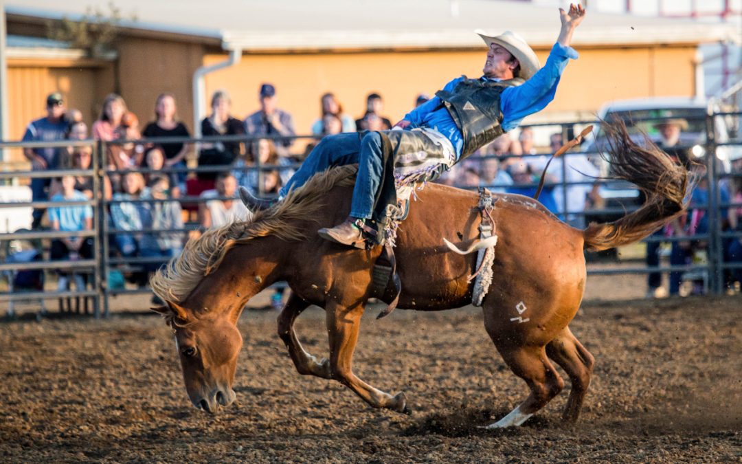 The 2021 SW Washington Fair Opens August 17